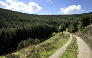 Glentress Peebles