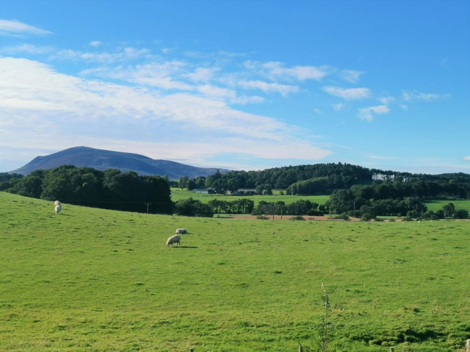 Beautiful countryside right in front of you